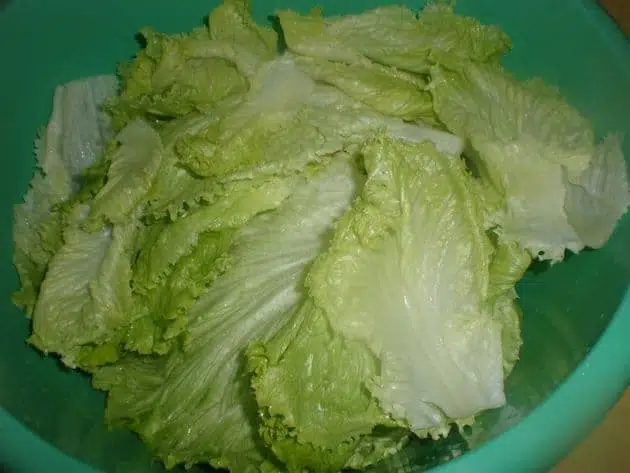 ▷ Lechuga sin gota de agua 📓 8 5467774f5535dc0e0bd116e89a59b7ab