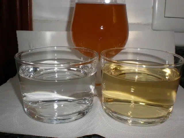 olympus-digital-camera-9193