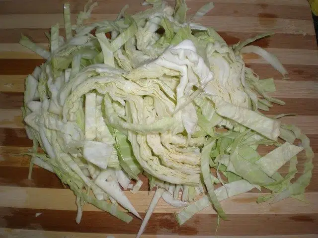 olympus-digital-camera-9198