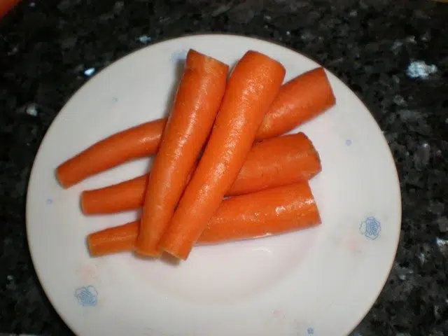 olympus-digital-camera-9199