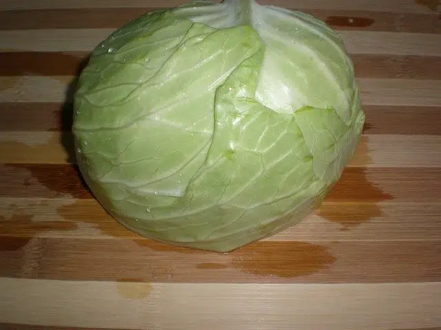 olympus-digital-camera-9197