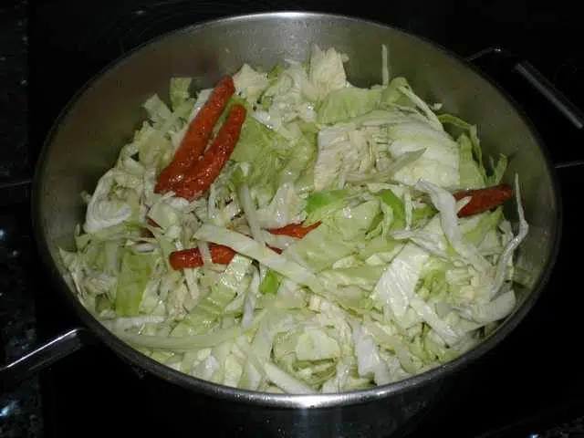 olympus-digital-camera-9204