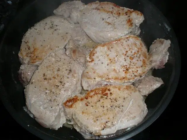 olympus-digital-camera-9208