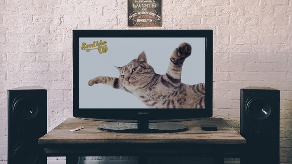 f4d5b41aabd168336d4ccaf07f498b50