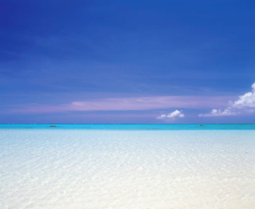 56251faf6d61adc897c061a3c30ab153