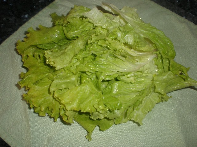 Media lechuga rizada