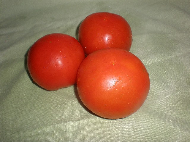 Tomates enteros