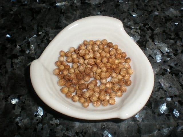 Semillas de cilantro