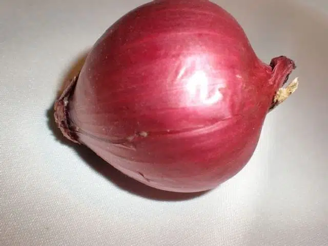 Cebolla morada