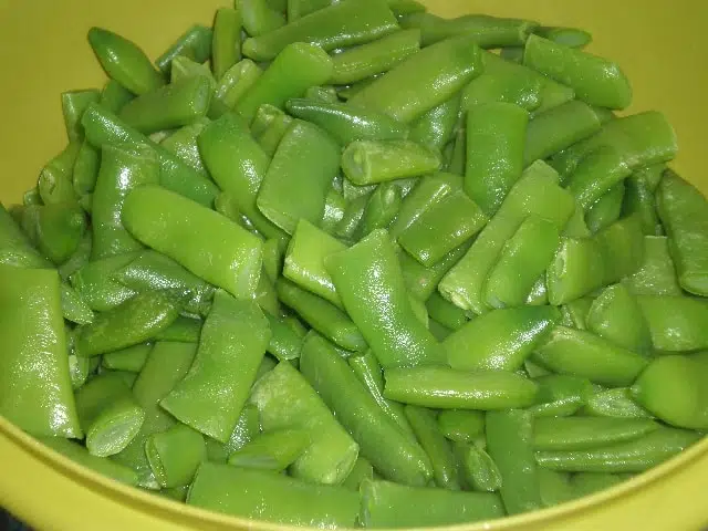 Judía verde plana Judía verde plana