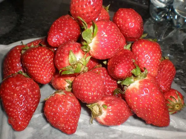 Fresas