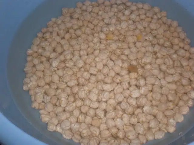 Garbanzos lechos de remojo