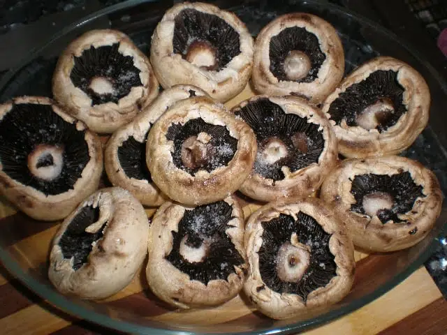 Champiñones con sal Champiñones con sal
