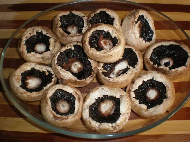 Champiñones limpios Champiñones limpios