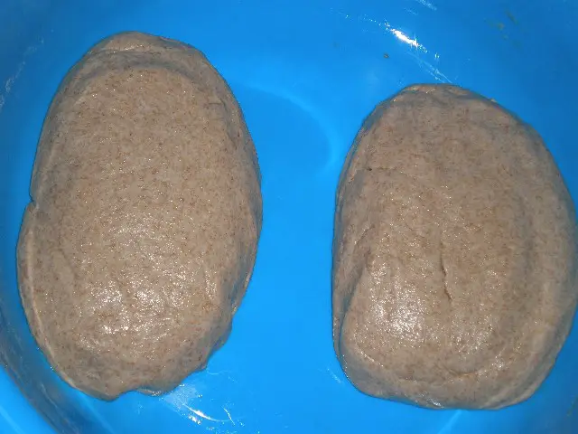 Masa para pan de molde integral