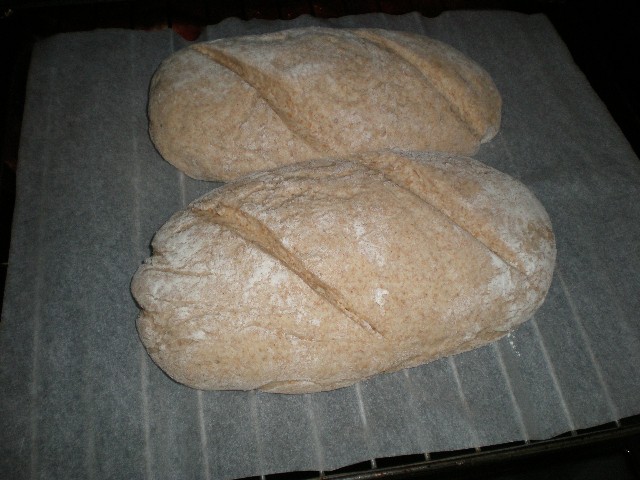 Meter pan integral en horno