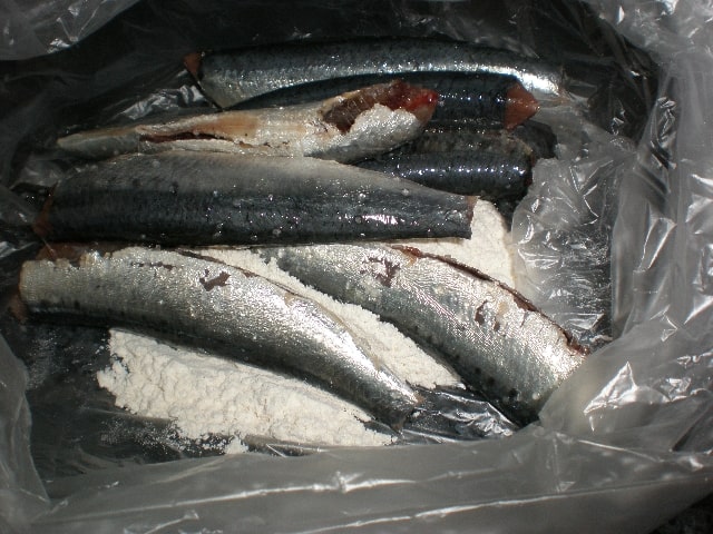 Meter sardinas con harina