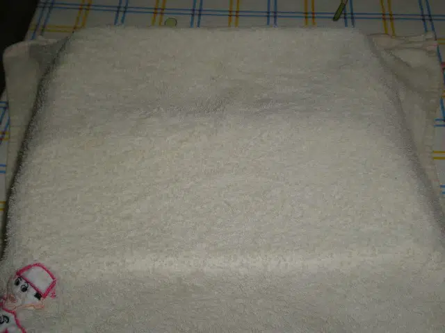 Moldes con pan tapados