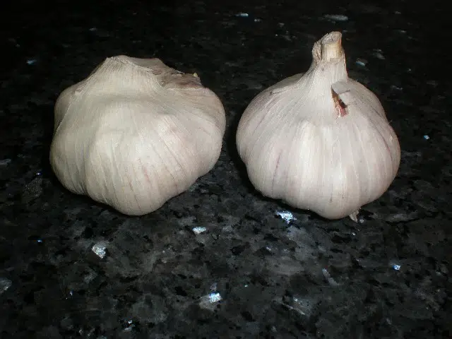 Cabezas de ajo