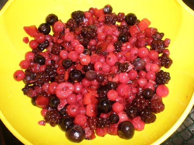 Frutillas del bosque