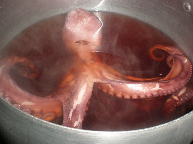Reposar pulpo