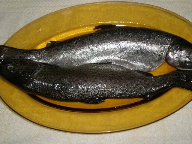Truchas limpias