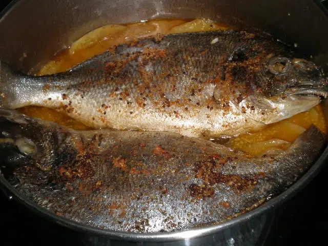 Doradas con salsa de mostaza 