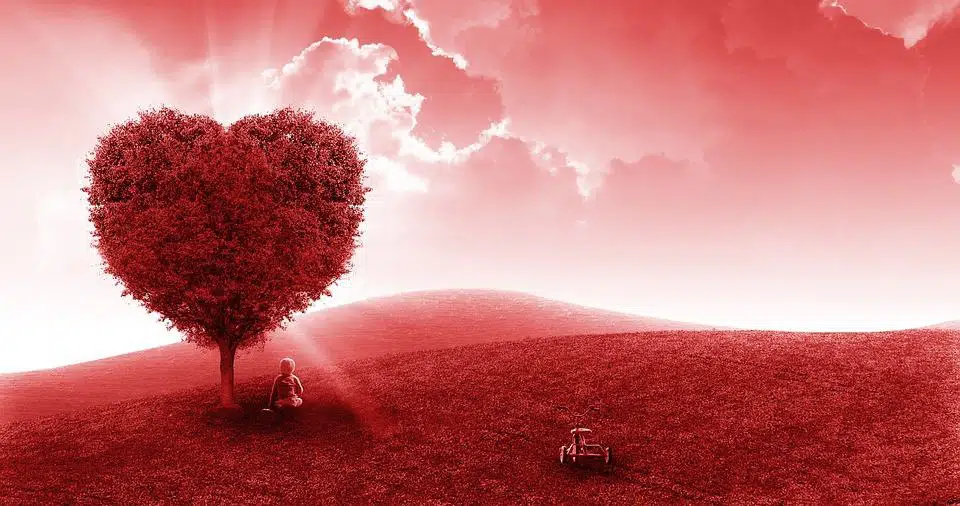 523b526c8bf5a1718afbf5e37e598b68