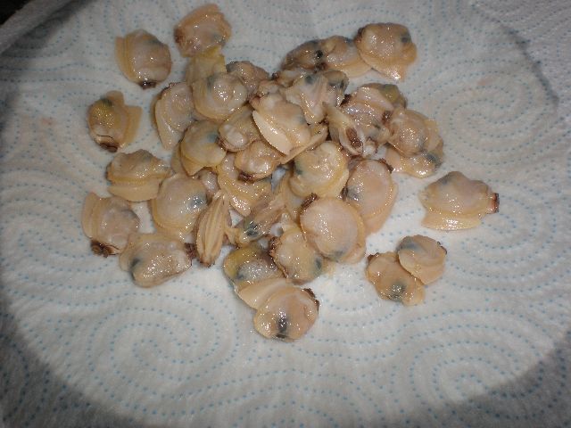 Almejas blancas sin conchas