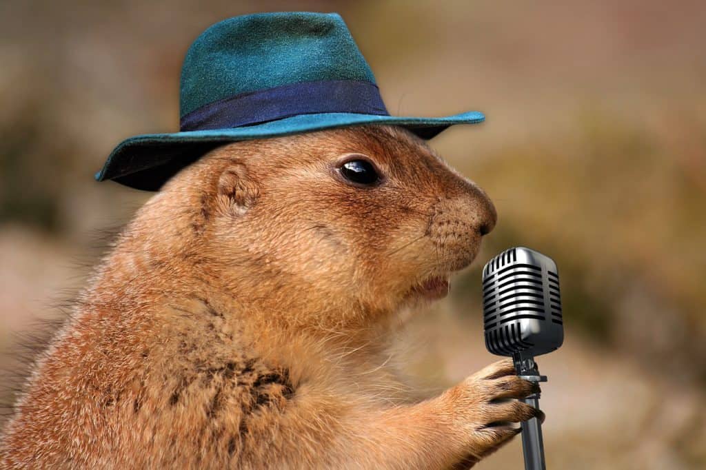 Canta