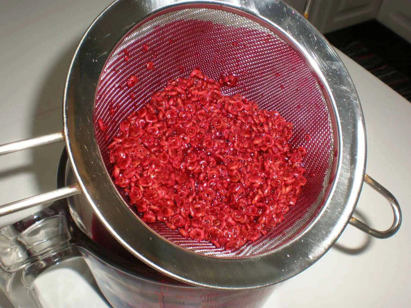 Semillas de tunos indios