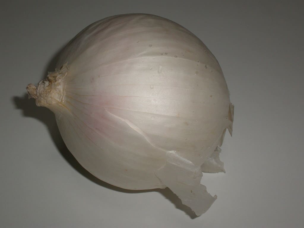 Cebolla blanca