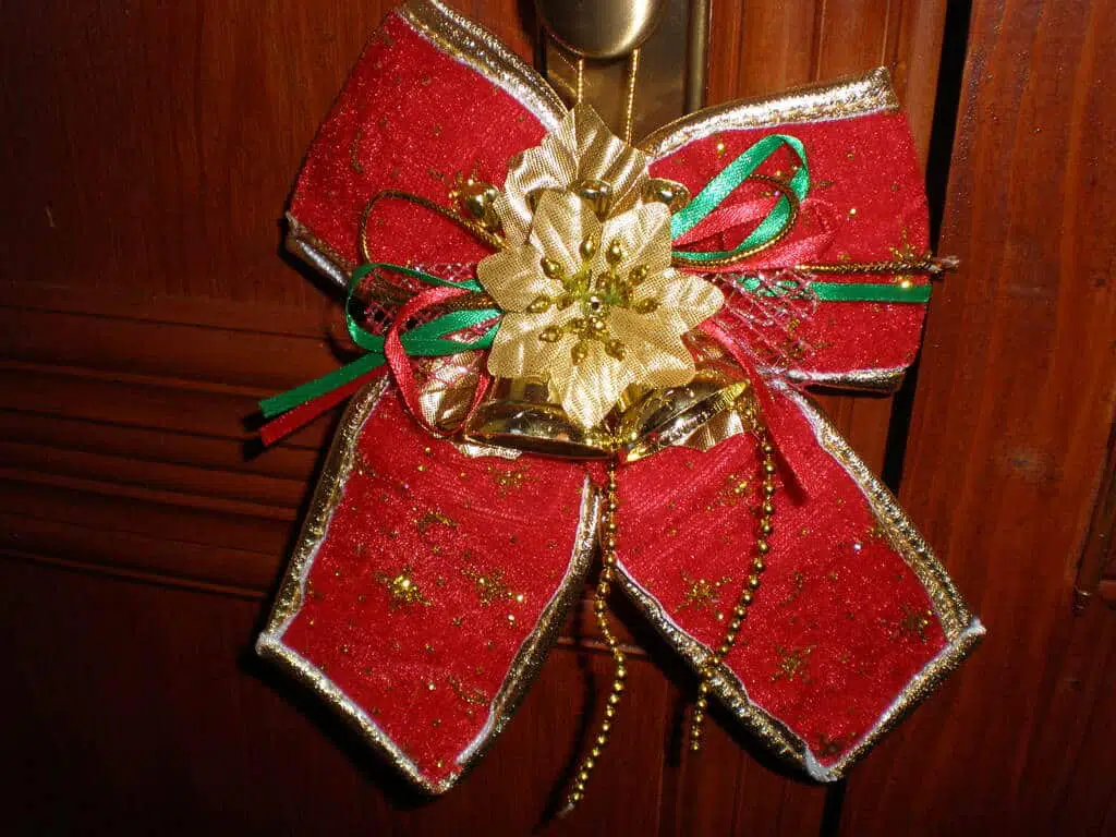 Adios ano dos mil veinte