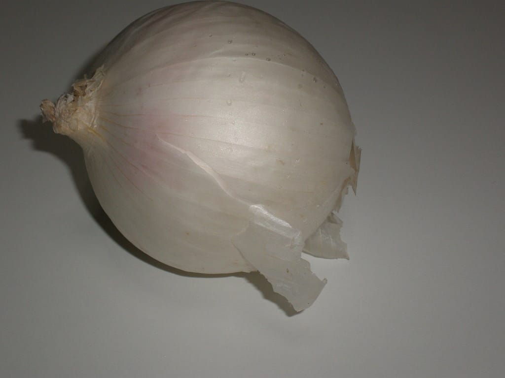 Cebolla blanca
