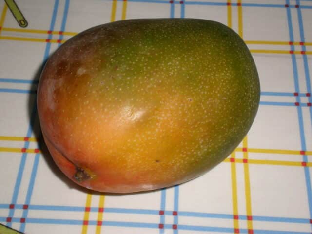 Mango