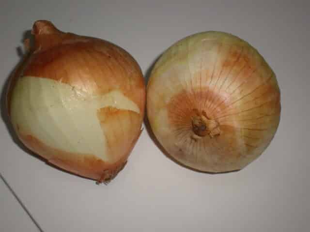 Cebollas Cebollas