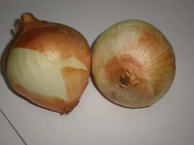 Cebollas