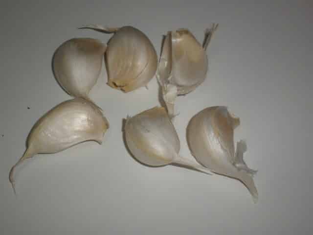 Dientes de ajo Dientes de ajo