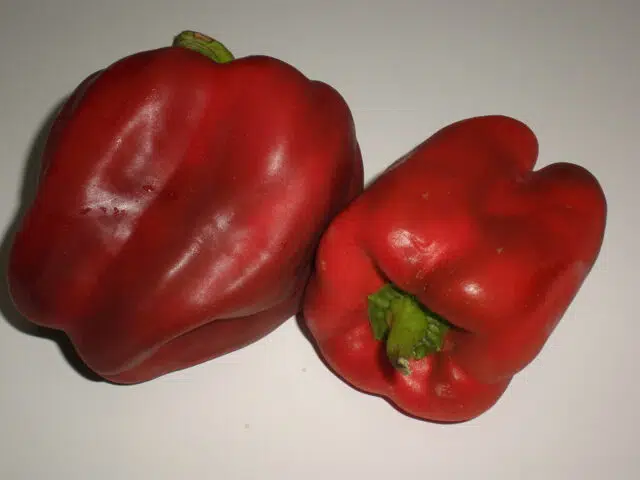 Pimientos rojos