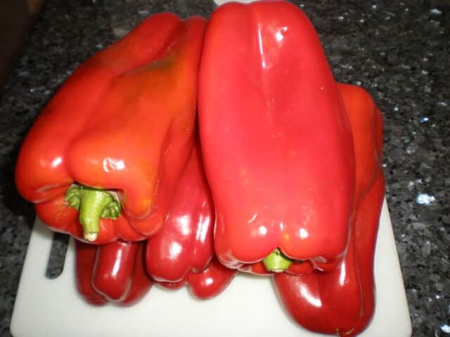 Pimientos rojos