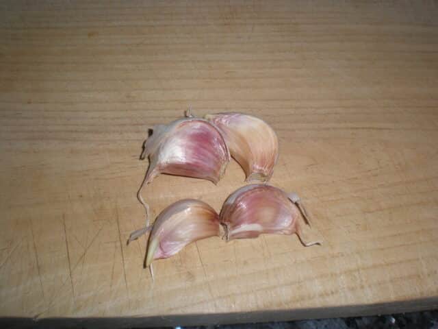 Dientes de ajo