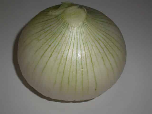 Cebolla Cebolla