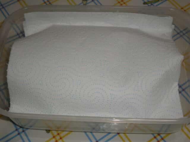 Fiambre tapado con papel