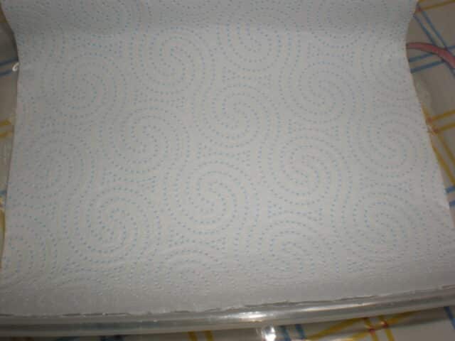 Recipiente con papel