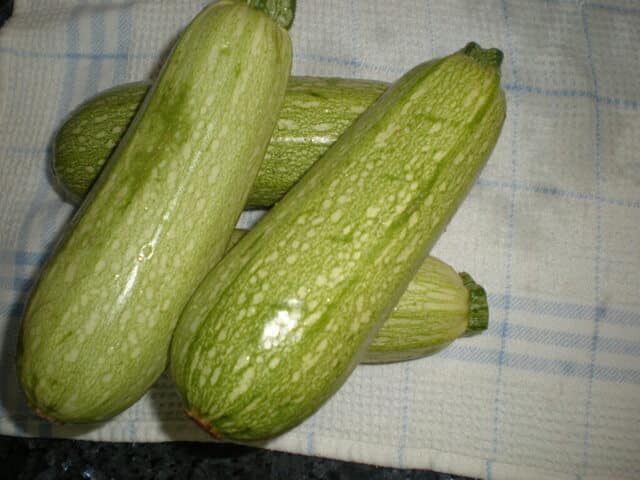 Calabacines